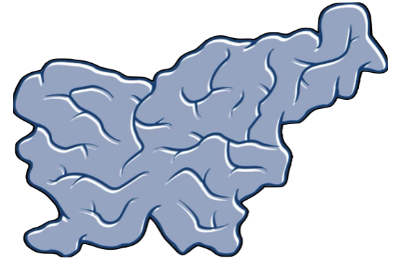 Razpis volitev v organe SiNAPSE