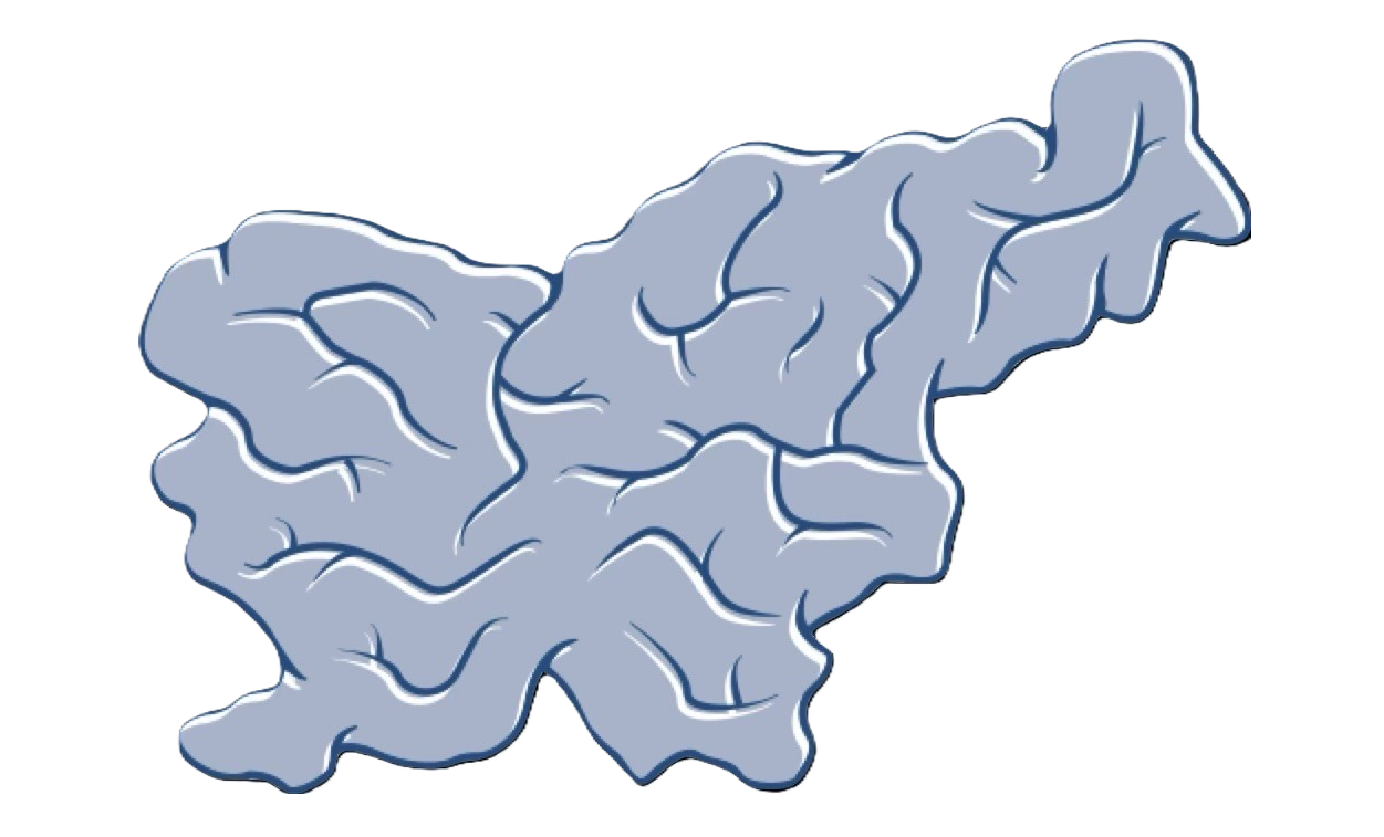 Razpis volitev v organe SiNAPSE